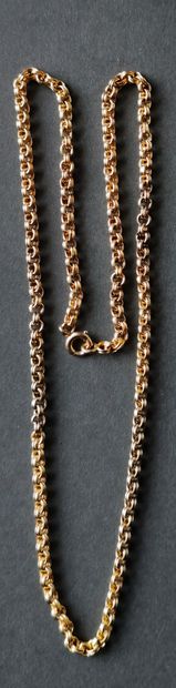 CHAIN IN YELLOW GOLD 750°/00 Weight: 10 g...