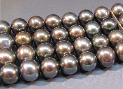 null Bracelet quatre rangs de perles de culture grises teintées