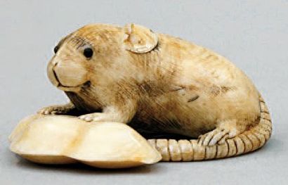 null NETSUKE en ivoire représentant une souris, les pattes avant posées sur une cosse...