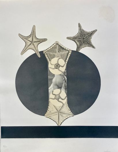null Claude VISEUX (1927-2008)
Trois règnes
11 lithographies, sur papier Japon, emboitage...
