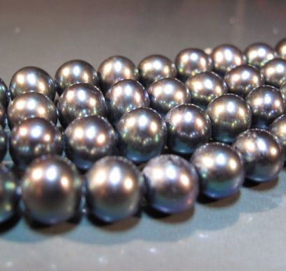 null Bracelet quatre rangs de perles de culture grises teintées