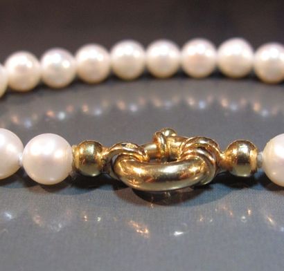 null Bracelet formé de perles de culture, le fermoir anneau en or jaune 18 K. L :...