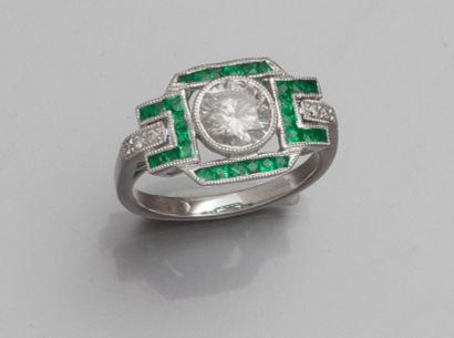 null Bague en platine (tête de chien), sertie d'un diamant taille brillant de 1 carat...