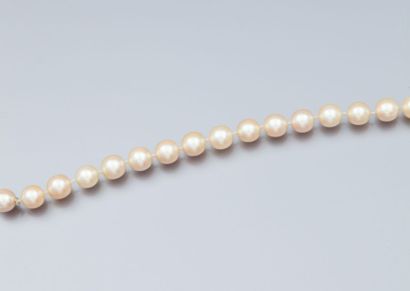 null Bracelet de perles de culture diamètre 8.5 mm environ, fermoir dans une perle....