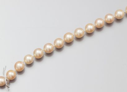 null Bracelet de perles de culture diamètre 8.5 mm environ, fermoir dans une perle....