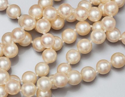 null Collier deux rangs de perles de culture diamètre 6/6.5 mm (Japon) fermoir en...
