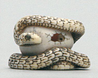 null NETSUKE en ivoire représentant un serpent lové autour d'un oeuf, la coquille...