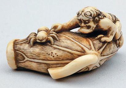 null NETSUKE en ivoire représentant un oni tenant une araignée par une patte. Les...