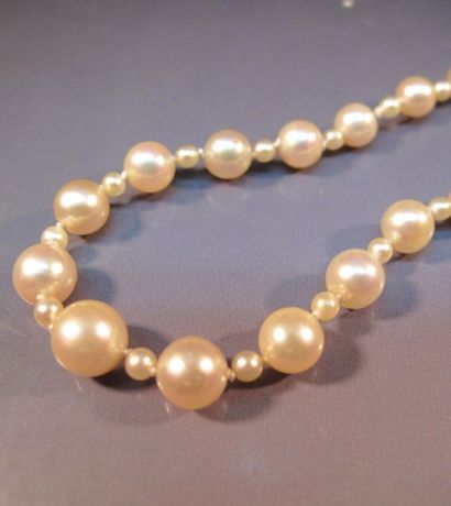 null Collier de perles de culture en chute diamètre 2.5 à 6.8 mm, fermoir en or gris...