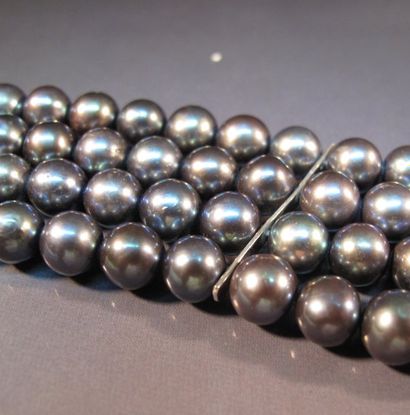 null Bracelet quatre rangs de perles de culture grises teintées barrettes et fermoir...