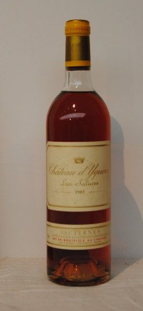 null 1 bout CHT YQUEM 1985 (NTLB)