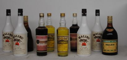 null 10 bout ALCOOLS DIVERS : FRAMBOISE, GENEPI, MALIBU…