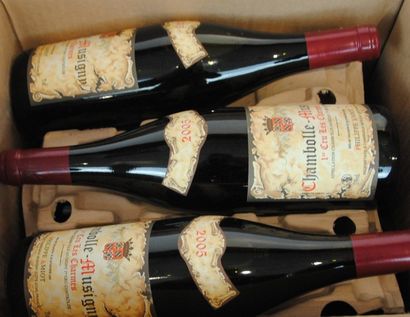 null 6 bout CHAMBOLLE MUSIGNY LES CHARMES AMIOT 1ER CRU 2005