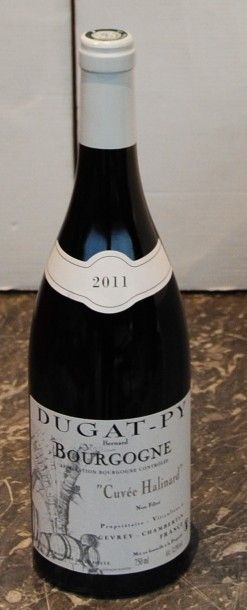 null 12 bout BOURGOGNE HALINARD DUGAT PY 2011