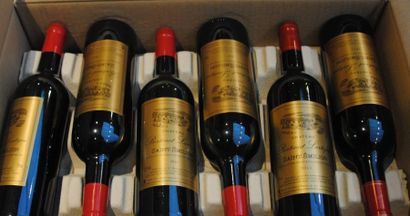 null 12 bout SAINT EMILION BERTINAT LARTIGUE 2011