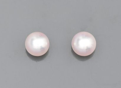 null Paire de boucles d'oreilles serties de perles de culture diamètre 7.5/8 mm (Japon),...