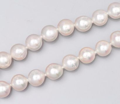 null Sautoir de perles de culture (Japon) diamètre 8.5/9 mm, fermoir anneau en or...