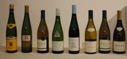 null 8 bout CHAMPAGNE SACOTTE, CORTON BLANC, GRANDS ALSACE, VIRE CLESSE, MEURSAULT,...