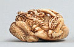 null NETSUKE en ivoire représentant un dragon lové. École de Tokyo. Edo, période...