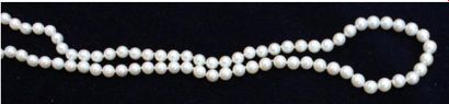 null COLLIER en perles de culture calibrées blanches, fermoir en or blanc 750°/00....