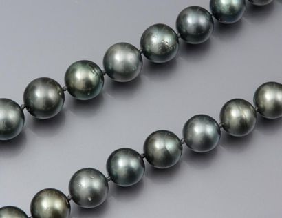 null Collier de perles de culture de Tahiti diamètre 12 à 14.5 mm, fermoir anneau...