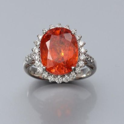 null Bague en or gris 750°/00 (tête d'aigle), centrée d'un grenat orange spessartite...