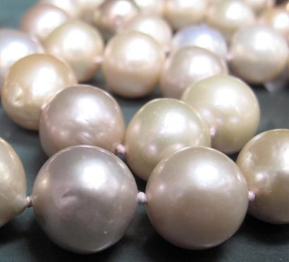  Collier de perles de culture roses diamètre 10.5 à 13.5 mm. Fermoir aimanté. L :...