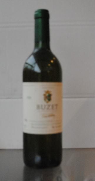 null 20 bouteilles Buzet blanc tradition 1996
