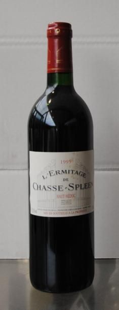 null 12 bouteilles Ermitage de Chasse Spleen 1995