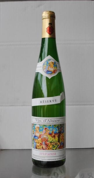 null 12 bouteilles SYLVANER 1995 Bergheim Vin d'Alsace 