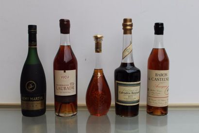 null 5 FLACONS D'ALCOOLS DIVERS : 1 MARC DE CHAMPAGNE, UN BAS ARMAGNAC LAUBADE 1972,...