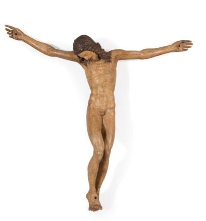 null Rare Christ nu en bois sculpté et polychromé. De canon longiligne, il penche...