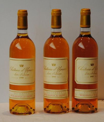 null 3 bout CHT D'YQUEM 1995