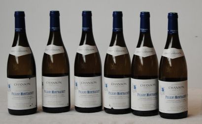 null 6 bout PULIGNY MONTRACHET 1ER CRU "CHAMPS GAINS" CHANSON PÈRE & FILS 2007