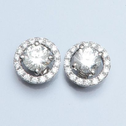 null Paire de puces d'oreilles en or gris 750°/00 chacune est sertie d 'un diamant...