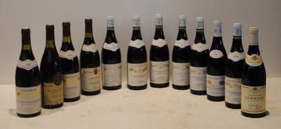 null 12 bout BOURGOGNE DIVERS : POMMARD, NUITS, GRANDS ECHEZEAUX, CLOS VOUGEOT, ...