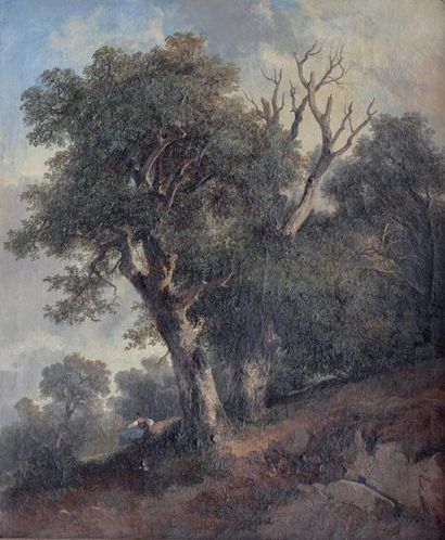 null Jules COIGNET (1798-1860)

Paysage à la promeneuse et au grand chêne

Huile...