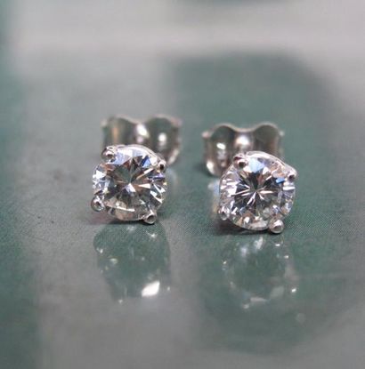 null Puces d'oreilles en or gris 750°/00, serties chacune d'un diamant taille brillant...