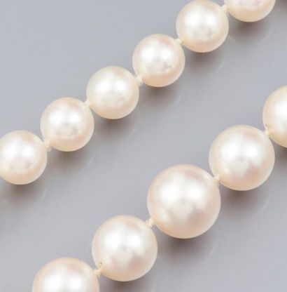 null Collier de perles de culture en chute (Japon) diamètre 7.5 à 10.5 mm, fermoir...