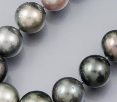 null Collier de perles de culture de Tahiti diamètre 11 à 12 mm, fermoir anneau en...