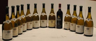 null 13 bout 1 BRUNELLO DI MONTALCINO 1999, 11 MEURSAULT 2002, 1 CHT DE MEURSAULT...