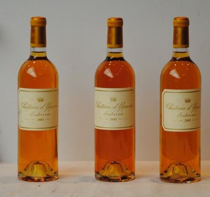null 3 bout CHT D'YQUEM 2003