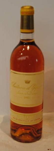 null 1 bout CHT D'YQUEM 1981