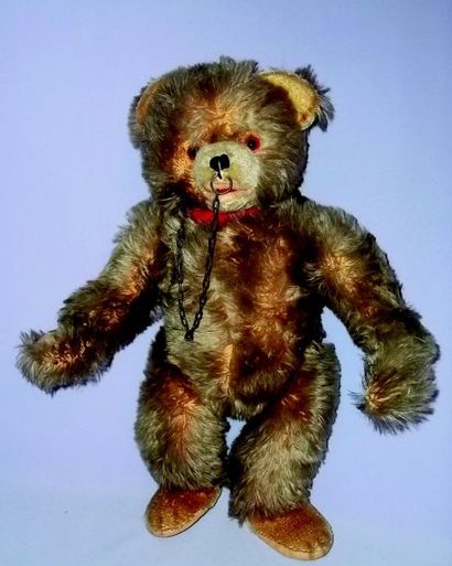null « MARTIN l'ours» ours savant de fabrication allemande de la maison HERMANN....