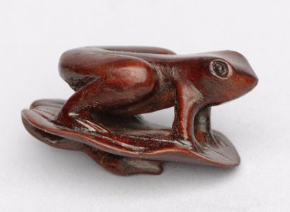 null NETSUKE en bois à patine brun rouge représentant une grenouille sur une feuille...