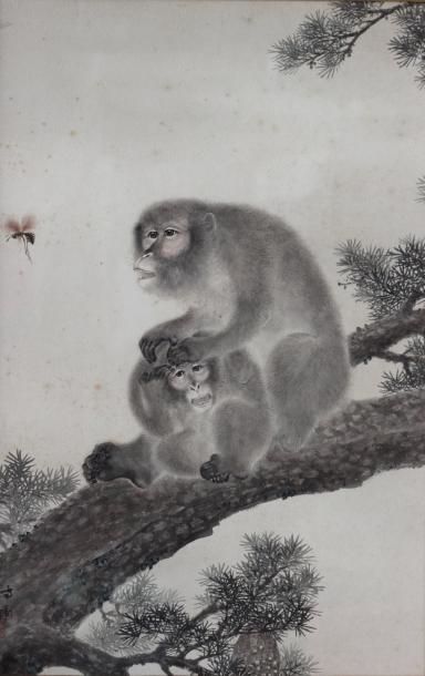 null Les deux singes et la guèpe
Aquarelle signée MORI SOSEN en bas à gauche, Japon...