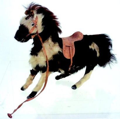 null -« CHEVAL CARACOLANT » cheval mécanique recouvert de peau avec yeux en verre,...