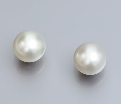 null Paire de boucles d'oreilles en or gris 750°/00, serties chacune d'une perle...