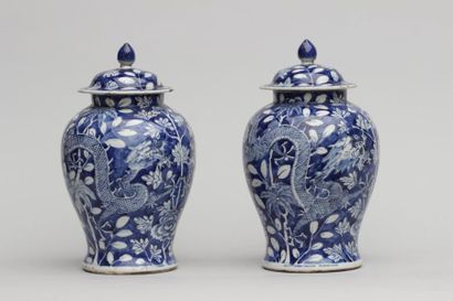 null Deux vases couverts en porcelaine en camaïeu de bleu à décor de Dragons. Chine....