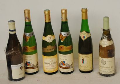null 5 bout 1 GEWURZTRAMINER 2001, 2 MUSCAT 1993, 1 RIESLING 1981, 1 RULLY VINCENT...